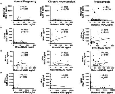Evidence of kidney injury in preeclampsia: Increased maternal and urinary levels of NGAL and KIM-1 and their enhanced expression in proximal tubule epithelial cells